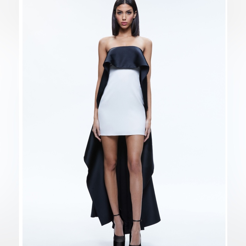 Alice and Olivia Theda strapless high low dress NWT sz 2